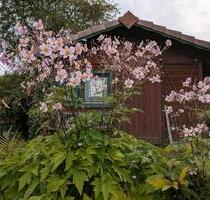 Schrebergarten Am Bausenberg in Coburg frei