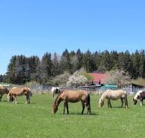 Ferienwohnung im Hinterland des Bodensees am Tor zum Allgäu - Vogt