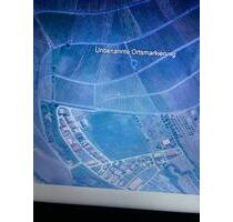 Verpachte gerodeten Weinberg Iphofen