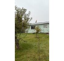 Kleingarten Schrebergarten Lehndorf - Braunschweig Nordstadt