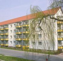Ihre großzügige Traumwohnung! - 506,00 EUR Kaltmiete, in Sondershausen (PLZ: 99706)