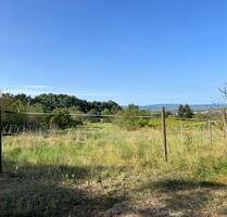 Idyllische Streuobstwiese im Landschaftsschutzgebiet – Ingelheim - Ingelheim am Rhein