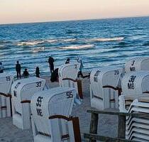 Ferienwohnung am Strand Scharbeutz Meerblick Hund Sylvester Frei