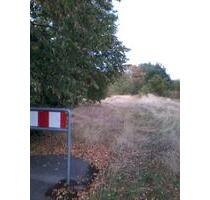 Kapitalanlage! Baugrundstück mit guter Anbindung an die B482 - Rehburg-Loccum