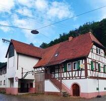 Zwei Häuser, ein Preis – saniertes Fachwerk + Haus aus den 50ern - Annweiler am Trifels
