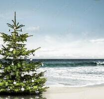 Last Minute Weihnachten im Ferienhaus an der Ostsee - Lensahn