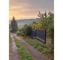 Freizeit Garten in Stuttgart- Rohracker zu verpachten