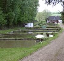 Forellenzucht (Fischzucht) mit Einfamilienhaus und Gaststätte - Düren Rölsdorf