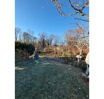 Kleingarten in Bad Düben abzugeben - Leipzig Südost