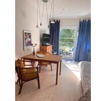 Ruhiges 1Zimmer-Apartment mit Süd-Balkon in Park-ähnlicher Anlage - Sachsenheim