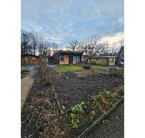 Kleingarten Schrebergarten mit Charm bis 22.12. - Zittau