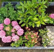 GARTEN AM SEE ABZUGEBEN - 4.000,00 EUR Kaltmiete, ca.  0,00 m² in Prenzlau (PLZ: 17291)