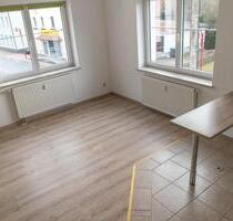 Helle und gemütliche 52 m²-Wohnung mit offener Wohnküche - Hohenstein-Ernstthal