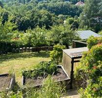 Kleingarten im Gartenverein Bad Gottleuba abzugeben - Bad Gottleuba-Berggießhübel
