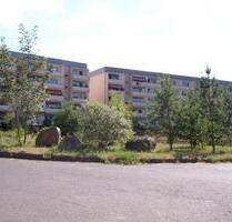 3-Raum-Wohnung im Erdgeschoss! - 364,00 EUR Kaltmiete, in Neustrelitz (PLZ: 17235)