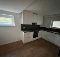 Kernsanierte 53 m² Souterrain-Wohnung mit EBK in S-Vaihingen - Stuttgart