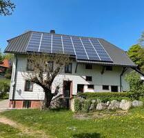 Schwarzwaldhaus in ruhiger naturverbundener Lage in Dachsberg - Dachsberg (Südschwarzwald)