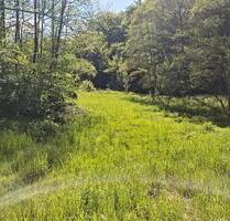 Wiese , Weide Freizeitgrundstück mit Bachlauf 4337 qm - Puderbach