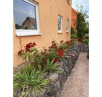 Moderne, helle Erdgeschosswohnung - Lebach