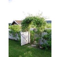 Biete Gartengrundstück an - 100,00 EUR Kaltmiete, ca.  0,00 m² in Gießen (PLZ: 35390)