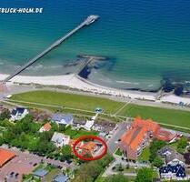 Last Minute Ostsee Urlaub mit Hund günstige FeWo 27.09. - 02.10. - Schönberg (Holstein)