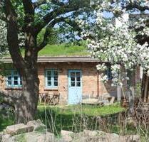 Ferienhaus oder Bauwagen Tiny house - Glücksburg (Ostsee)