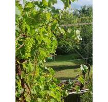 Einfamilienhaus mit großem Garten *Top Lage* - Donaueschingen