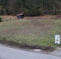 Idyllischer Bauplatz-Baugrundstück am Waldrand in ruhiger Lage - Eberbach
