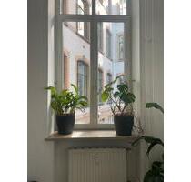 Helles, geräumiges Office in der Speicherstadt zu vermieten - Hamburg Hamburg-Mitte