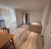 Helleres 1 Zimmer-Keller Wohnung in Aresing zum vermieten