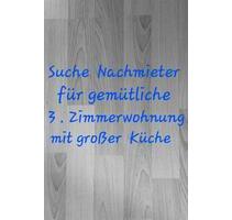 Nachmieter für 3.Zimmer Wohnung - Salzgitter Ortschaft Nord