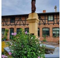 nette, kleine 1 Zimmer Wohnung mit Einbauküche - Quedlinburg