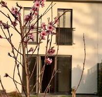 Jedes Zimmer mit bodentiefen Fenstern: Öko-Haus mit großem Garten ab sofort zu vermieten - Zeuthen