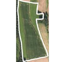 Ausgleichsfläche Acker Grünland - Pleiskirchen