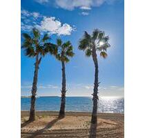 Ferienwohnung Torrevieja Acequión Apartment Costa Blanca Urlaub - Trier Feyen-Weismark