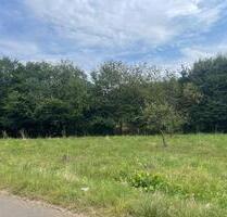 Landwirtschaftliche Fläche im Naturschutzgebiet für 100€ im Monat