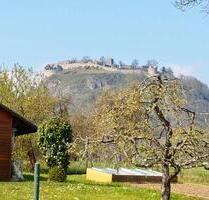 Schöner Garten mit großer Hütte in Singen Schanz abzugeben - Singen (Hohentwiel)