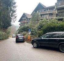 Schöne 2-Zimmer-Wohnung - 125.000,00 EUR Kaufpreis, in Sasbachwalden (PLZ: 77887)