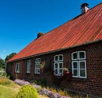 Resthof mit 7.900 m² Grundstück in 25551 Peissen - Hohenwestedt