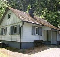 Wochenendhaus mitten im Sauerländer Wald - Kirchhundem