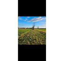 GARTENGRUNDSTÜCK ZU VERMIETEN - 35,00 EUR Kaltmiete, ca.  0,00 m² in Sasbach am Kaiserstuhl (PLZ: 79361)