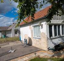 Kleingarten in 38126 - 1.150,00 EUR Kaltmiete, ca.  0,00 m² in Braunschweig (PLZ: 38102) Östliches Ringgebiet