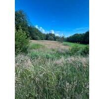 Wiese zu verpachten, ca. 3000 m2 - Freren