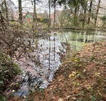 Garten mit Hütte & Teichen in Brachttal-2800m² zur Miete
