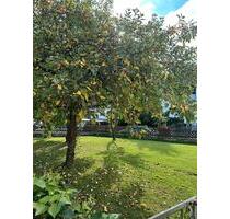 2 Zimmer Wohnung - 557,00 EUR Kaltmiete, in Amberg (PLZ: 92224)