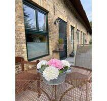 Ferienwohnung 90qm Dithmarschen Delve ab 9.8.25 frei