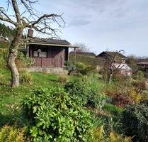 389m² Kleingarten als Nachpächter nur Elektriker möglich - Solingen Central