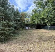 3 Schrebergärten in Braunfels OT Bonbaden zu verpachten