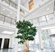 Top modernes Büro – Provisionsfrei direkt vom Eigentümer zu mieten! - Frankfurt am Main Bergen-Enkheim