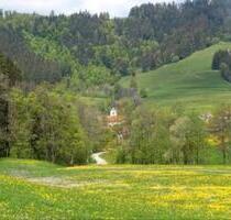 Ferienwohnung, Fewo, Urlaub, Allgäu, Wengen, Isny, Kempten - Weitnau